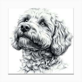 Goldendoodle 1 Canvas Print