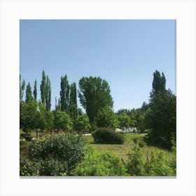 View Of The Park Canvas Print