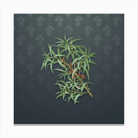Vintage Common Sea Buckthorn Botanical on Slate Gray Pattern n.1085 Canvas Print