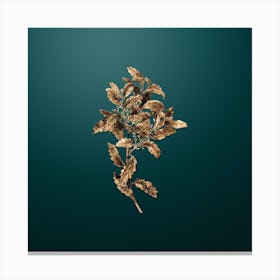 Gold Botanical Evergreen Oak on Dark Teal n.3283 Canvas Print