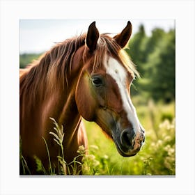 Horse In The Grass 2 Canvas Print