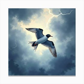 Stormy Seagull Canvas Print