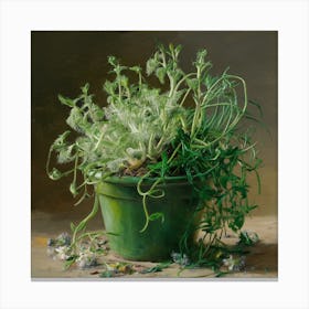 Pot Of Herbs Canvas Print