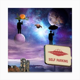 Self Parking 08 Canvas Print