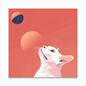 Cat Looking Up At The Sun Canvas Print