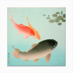 Common And Golden Carp (1935) Canvas Print