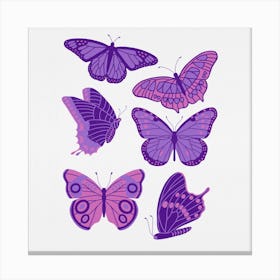 Texas Butterflies   Purple And Pink Square Canvas Print