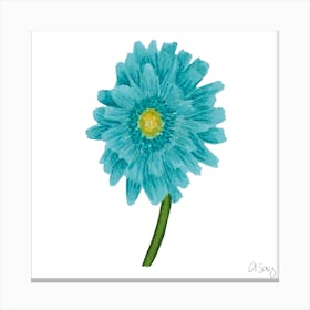 Turquoise Gerbera Canvas Print