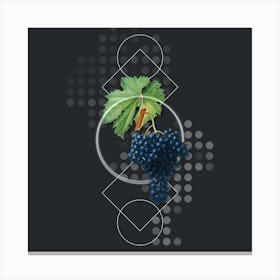 Vintage Fuella Grapes Botanical with Geometric Line Motif and Dot Pattern n.0310 Canvas Print