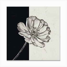 Harmony Flower Canvas Print