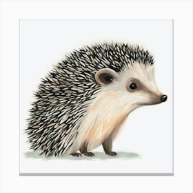 Hedgehog 1 Canvas Print