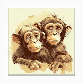 Chimpanzees Canvas Print