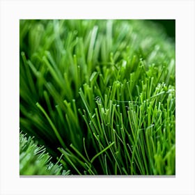 Close Up Of Artificial Grass Canvas Print