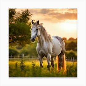 Grass Mane Head Graze Equestrian Pasture Elegant Sun Beauty Horse Standing Rural Green (3) Canvas Print