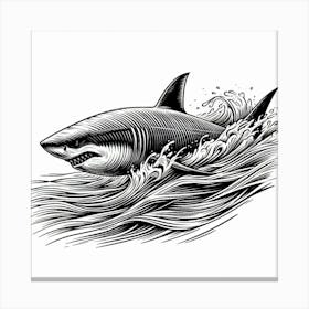 Line Art shark 3 Canvas Print