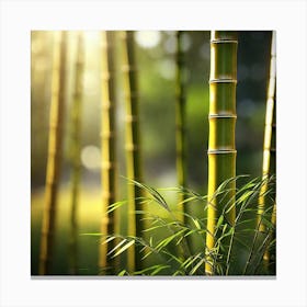 Bamboo Forest 7 Canvas Print