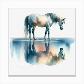 Horse In Water Canvas Print