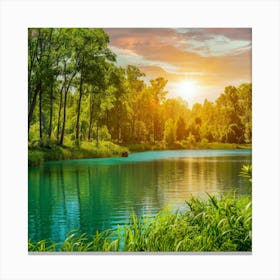 Sunset In The Forest Canvas Print