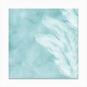 White Feathers On A Blue Background Canvas Print