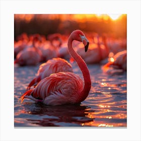 Flamingos At Sunset 4 Canvas Print