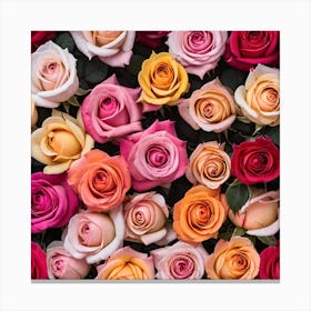 Colorful Roses Background 42 Canvas Print