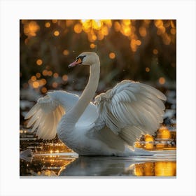 Swan At Sunset Canvas Print