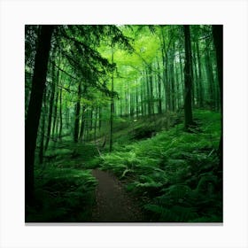 Firefly Deep Forest Green Rich, Dark Greens For A Moody Forest Atmosphere 2 Leinwandbild