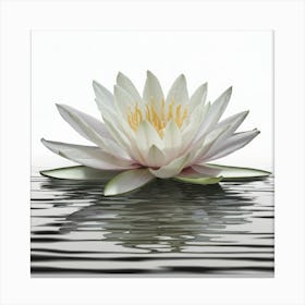 Water Lily 2 Canvas Print