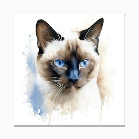 Snowshoe Cat Portrait 2 Canvas Print