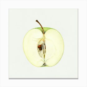 Apple Half Canvas Print