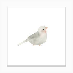 Blushing Bird Grey  Square Canvas Print