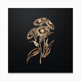 Gold Botanical Shewy Stenactis on Wrought Iron Black n.2879 Canvas Print