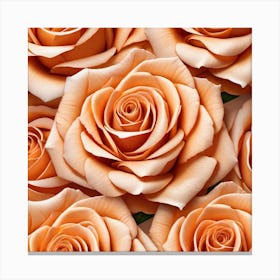 Peach Roses Canvas Print