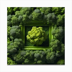 Green Broccoli In A Frame 4 Canvas Print