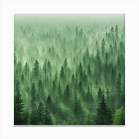 Foggy Forest 2 Canvas Print