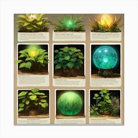 Information Sheet With Different Fantasy Canvas Print