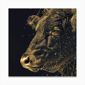 Bull Head 5 Canvas Print