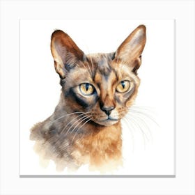 York Chocolate Cat Portrait 2 Canvas Print