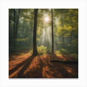 Autumn Forest Photo Canvas Print