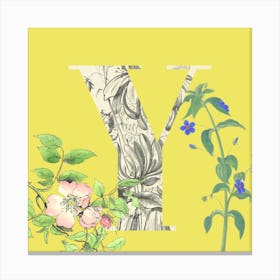 Botanical Y Canvas Print