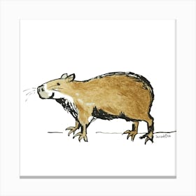 Capybara Canvas Print