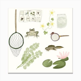 Pond Dipping Square Canvas Print