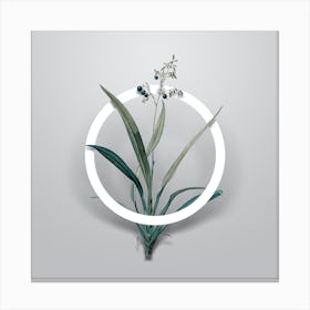 Vintage Flax Lilies Minimalist Flower Geometric Circle on Soft Gray n.0540 Canvas Print