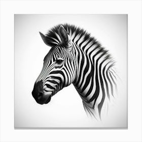 Zebra Head Canvas Print