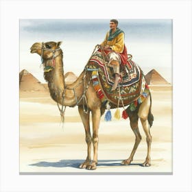 Egyptian Camel 1 Canvas Print