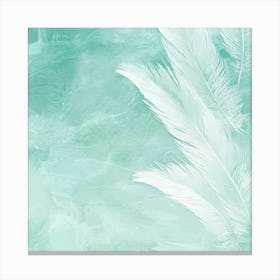 White Feathers On A Turquoise Background Canvas Print