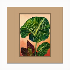 Hibiscus Canvas Print