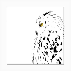 Snowy Eyed Owl White Series Square Canvas Print