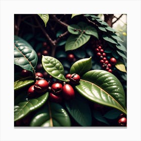 Coffee Berries On A Tree 6 Canvas Print