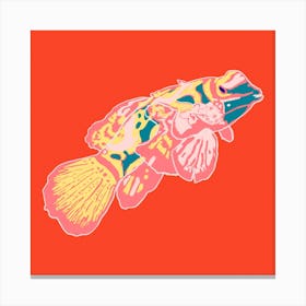 Fish Of Colours Square Canvas Print